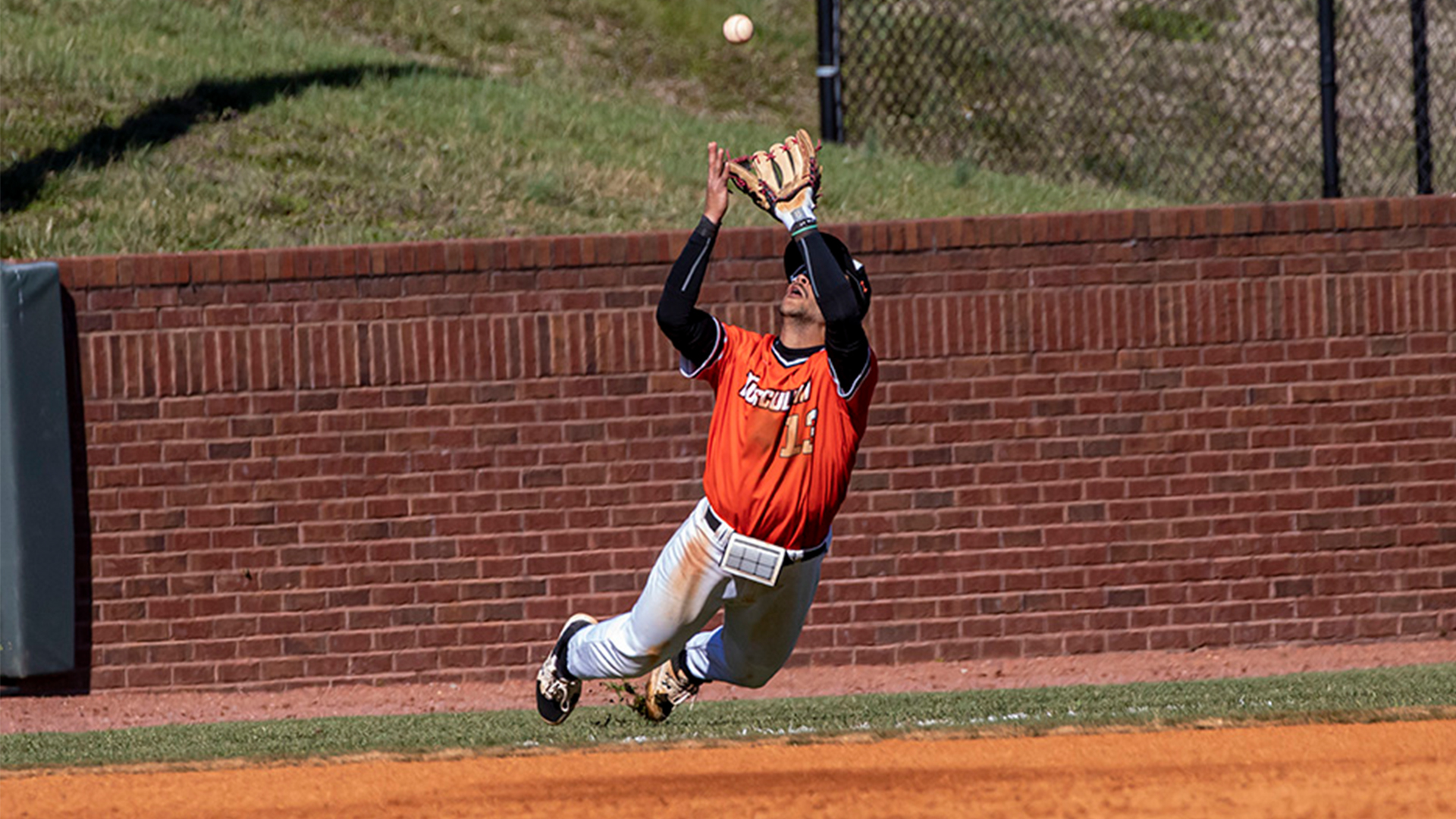 Jaden Steagall makes this fantastic catch in foul territory as Tusculum battled No. 20/11 Lenoir-Rhyne (photo by Chuck Williams)