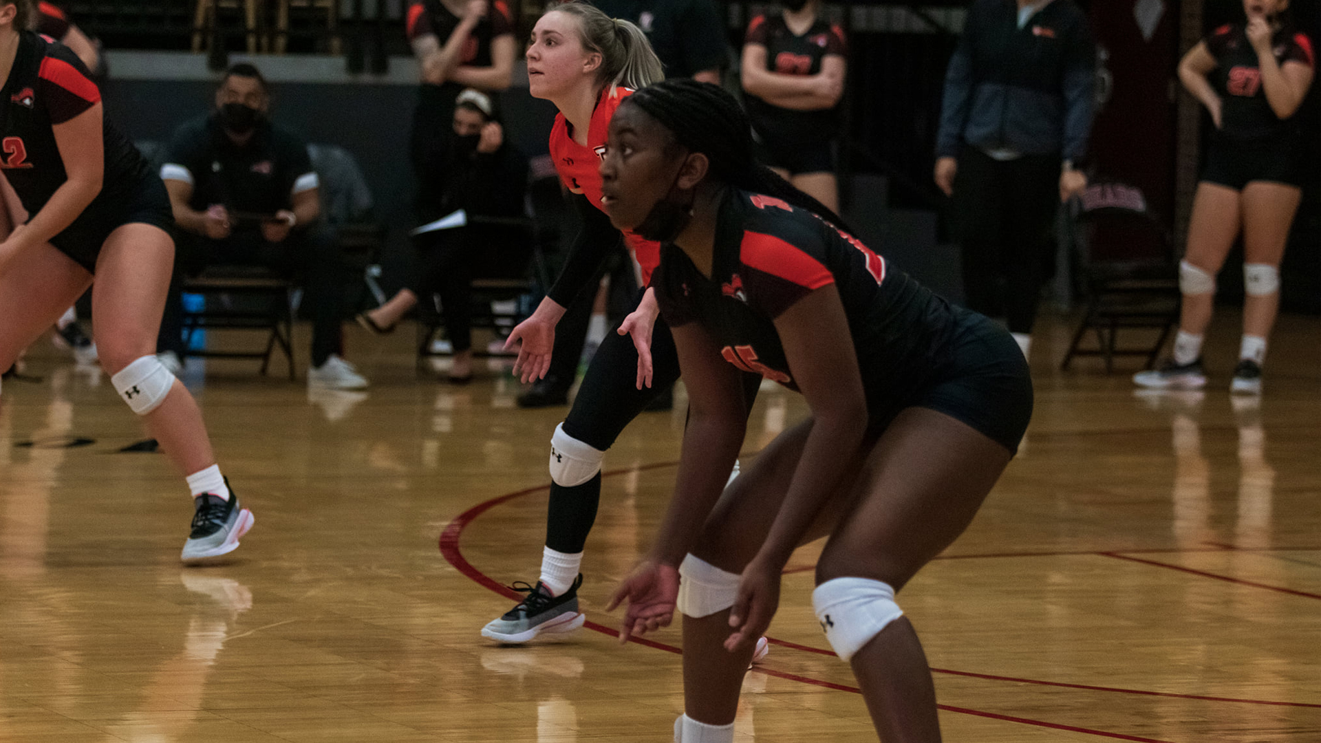 Women's Volleyball to hit court twice