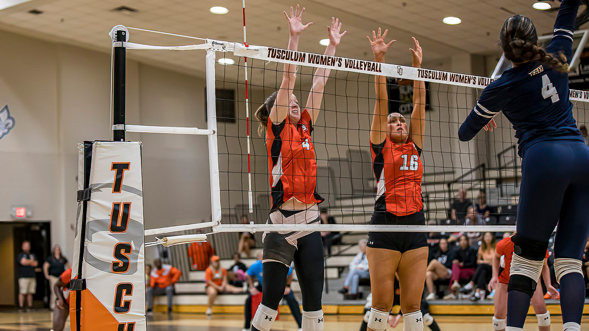 Pioneers fly by Wasps in SAC sweep