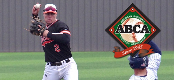 Martin completes All-Region sweep with ABCA accolade