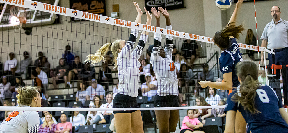 Pioneers Take Set Off Undefeated Wingate