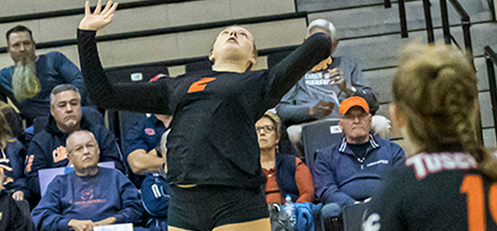 Tusculum Falls to Eagles in Four Sets